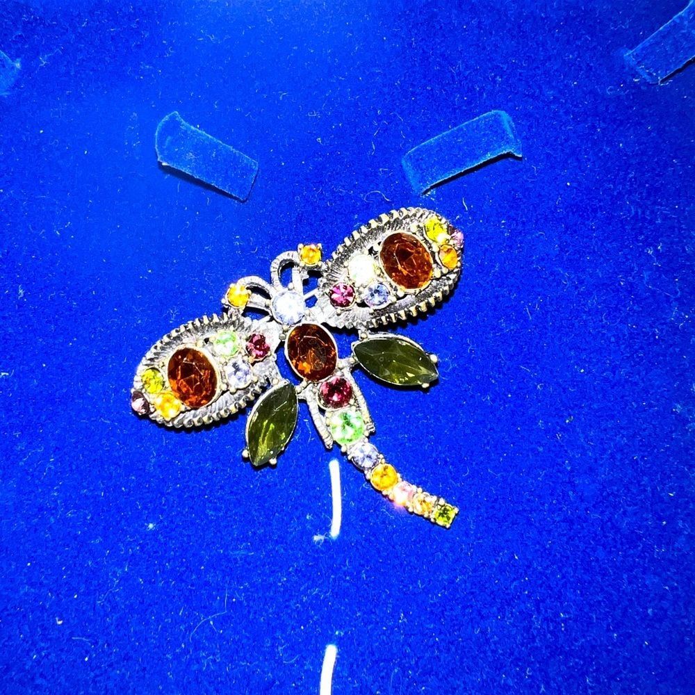 Vintage dragonfly bin in rainbow colors
